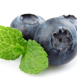 Vybes Blueberry Mint 15MG Hemp CBD 14 OZ