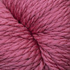 Cascade Cascade 128 SUPERWASH 300 HOLLY BERRY