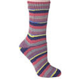 Berroco Berroco Comfort Sock 1833 FIESTA