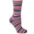 Berroco Berroco Comfort Sock 1833 FIESTA