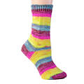 Berroco Berroco Comfort Sock 1828 WAKATIPU