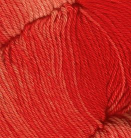 Araucania Huasco Sock Kettle Dye 1009 SCARLET discontinued