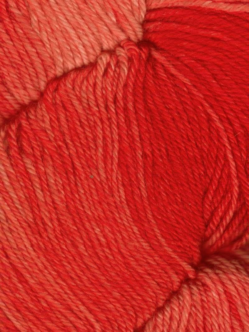 Araucania Huasco Sock Kettle Dye 1009 SCARLET