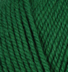 PLYMOUTH Plymouth Encore Worsted 54 CHRISTMAS GREEN