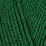 PLYMOUTH Plymouth Encore Worsted 54 CHRISTMAS GREEN
