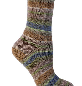 Berroco Berroco Comfort Sock 1810 INVERCARGILL