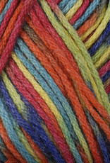 Berroco Berroco Comfort DK Print 2813 RAINBOW