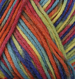 Berroco Berroco Comfort DK Print 2813 RAINBOW