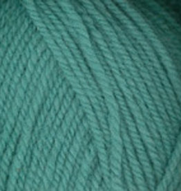 PLYMOUTH Plymouth Encore Worsted 459 LAGOON
