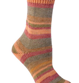Berroco Berroco Comfort Sock 1812 STEWART ISLAND discontinued