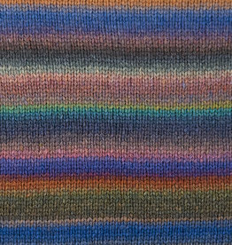 Berroco Berroco Wizard 2954 UNAKITE BLUES discontinued