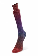 LAINES DU NORD Laines du Nord Watercolor Sock 105 MIXED BERRIES