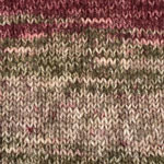 PLYMOUTH Plymouth Encore Chunky Colorspun 7804 RHUBARB MIX