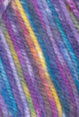 PLYMOUTH Plymouth Encore Colorspun 8004 RAINBOW