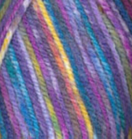 PLYMOUTH Plymouth Encore Colorspun 8004 RAINBOW