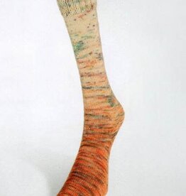 LAINES DU NORD Laines du Nord Paint Gradient Sock 19 ORANGE SPECKLE