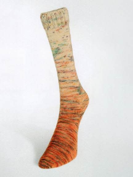 LAINES DU NORD Laines du Nord Paint Gradient Sock 19 ORANGE SPECKLE