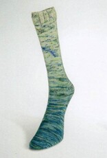 LAINES DU NORD Laines du Nord Paint Gradient Sock 20 TEAL SPECKLE