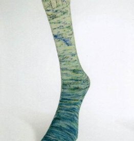 LAINES DU NORD Laines du Nord Paint Gradient Sock 20 TEAL SPECKLE