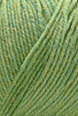 Cascade Cascade 220 Superwash 905 CELERY