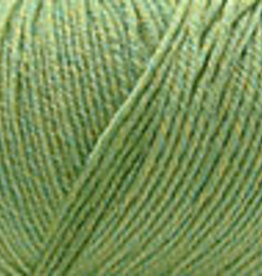 Cascade Cascade 220 Superwash 905 CELERY