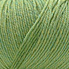 Cascade Cascade 220 Superwash 905 CELERY