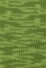 Berroco Berroco Vintage Handpaint 5227 FOREST CANOPY