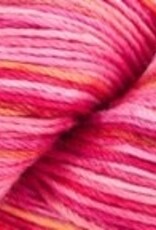 Berroco Berroco Vintage Sock Handpaint 12204 SUNSET SERENADE