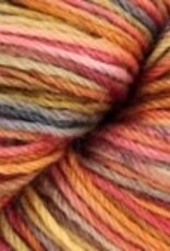 Berroco Berroco Vintage Sock Handpaint 12208 AUTUMN HARVEST