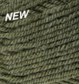 PLYMOUTH Plymouth Encore Worsted 9863 PESTO