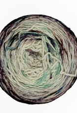 Malabrigo Yarn Malabrigo Metamorphosis 327 SOUL TRAIN