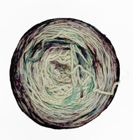 Malabrigo Yarn Malabrigo Metamorphosis 327 SOUL TRAIN