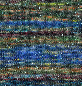 Berroco Berroco Sesame 7448 ZEN GARDEN discontinued
