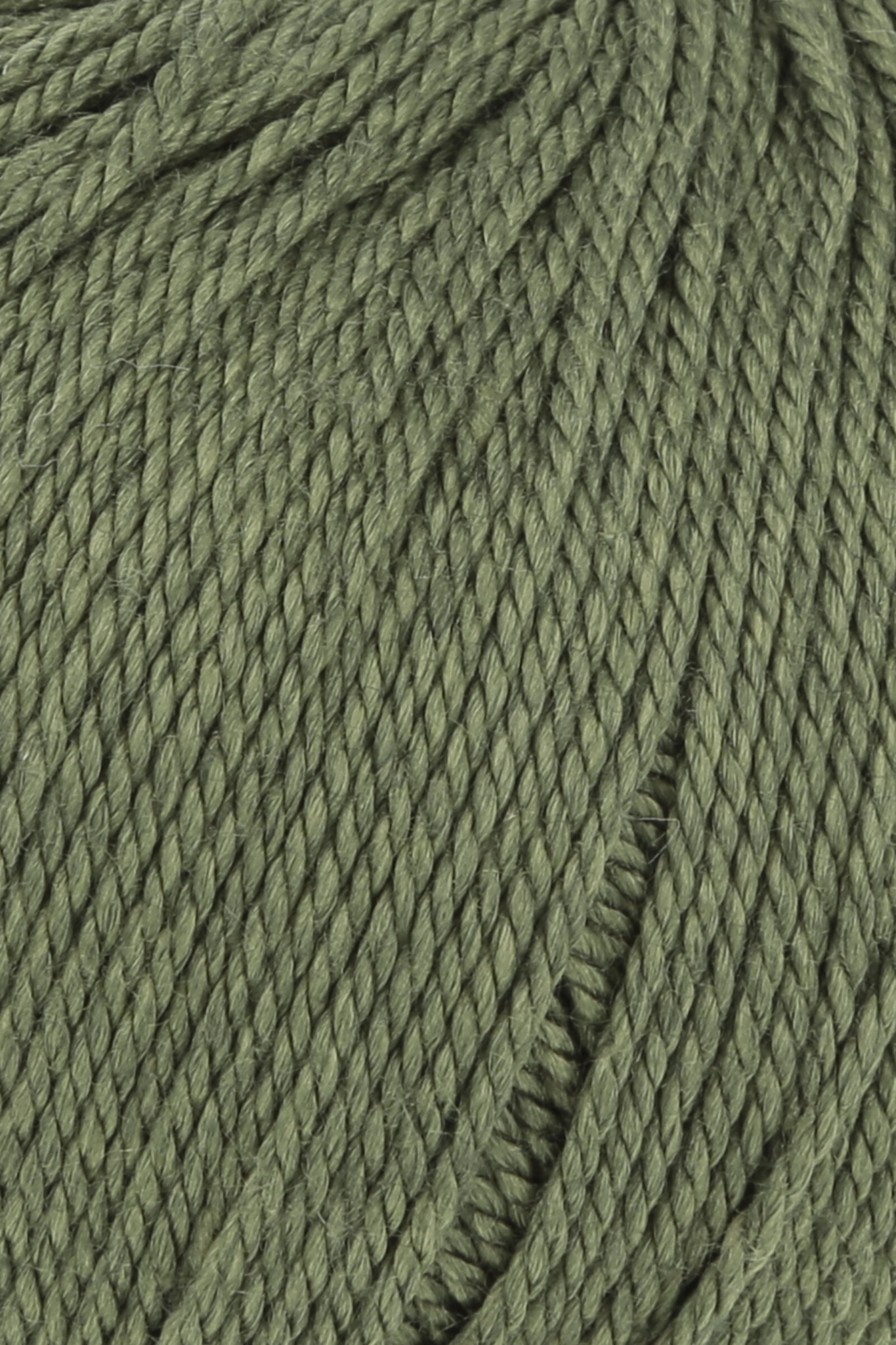Lang Lang Classic Silk 1167-98 OLIVE