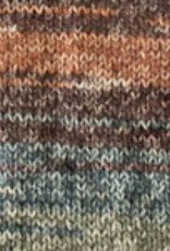 PLYMOUTH Plymouth Encore Colorspun 7803 AUTUMN MIX