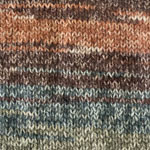 PLYMOUTH Plymouth Encore Colorspun 7803 AUTUMN MIX