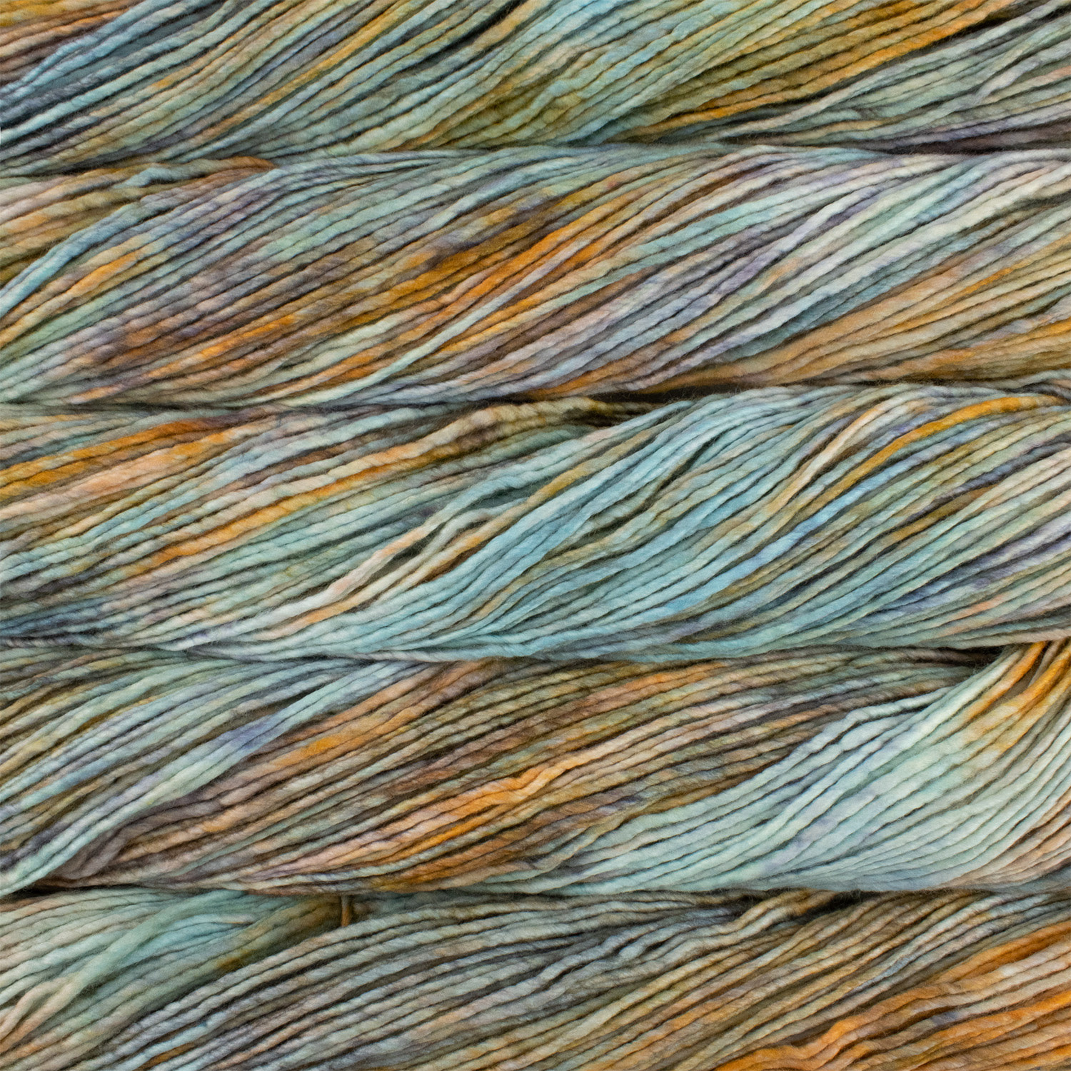 Malabrigo Yarn Malabrigo Worsted 274 AMPHIBIAN