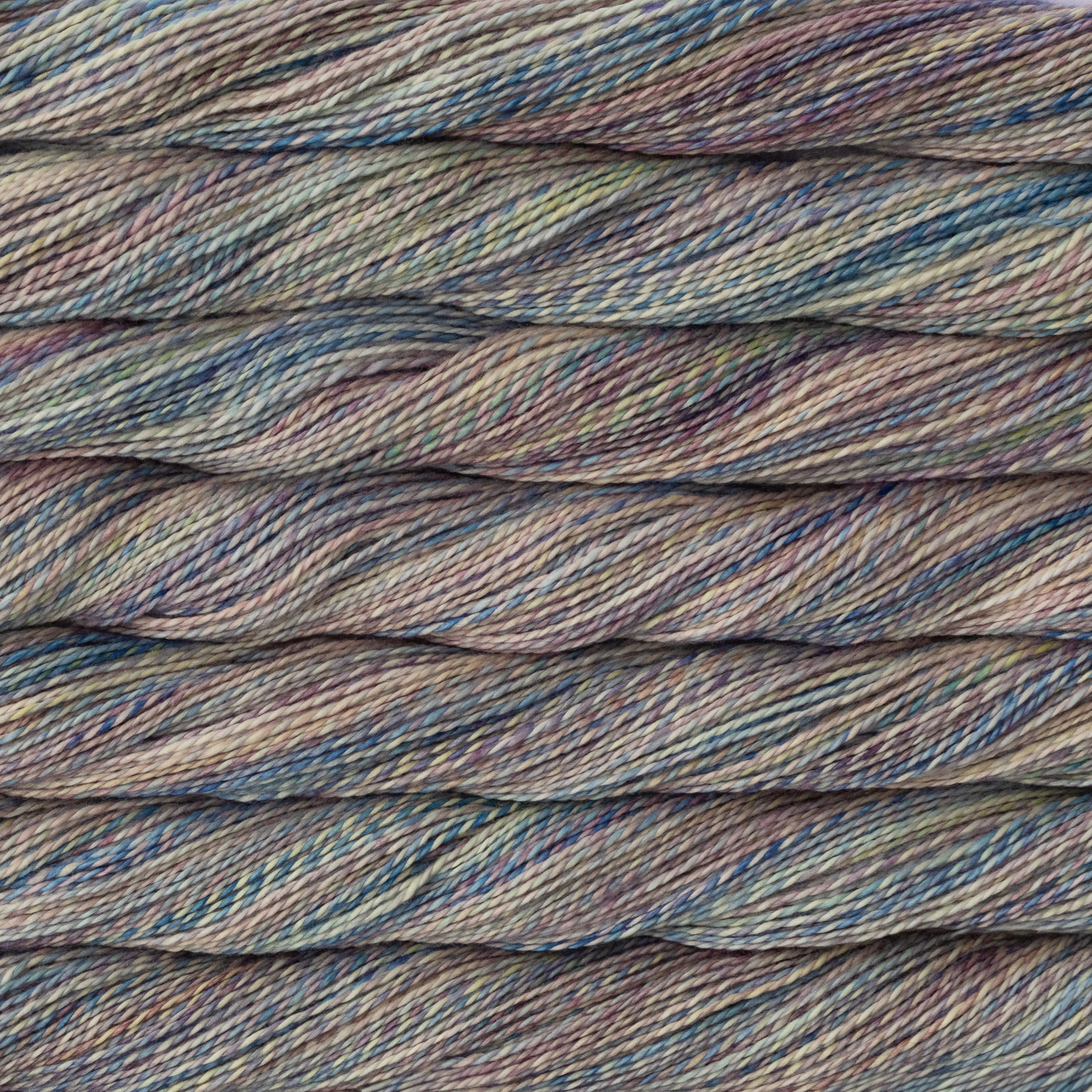 Malabrigo Yarn Malabrigo Torzal 875 ARAPEY