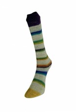 LAINES DU NORD Laines du Nord Art Sock 3 LIGHT GREY RAINBOW