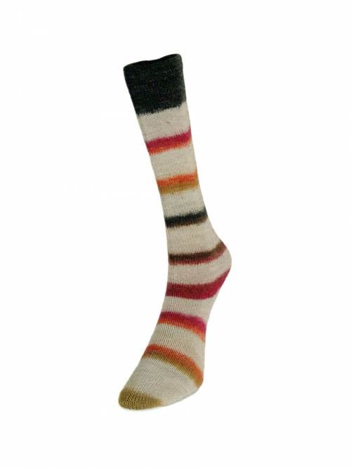 LAINES DU NORD Laines du Nord Art Sock 5 FALL RAINBOW