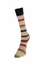 LAINES DU NORD Laines du Nord Art Sock 6 AUTUMN RAINBOW