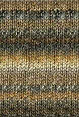 Noro Noro Silk Garden 267 TAKAHAMA discontinued