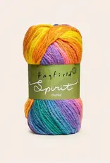 Hayfield Spirit Chunky 400 ZEST
