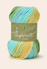 Hayfield Spirit Chunky 434 SPRING