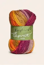 Hayfield Spirit Chunky 405 CASPER