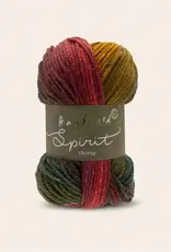 Hayfield Spirit Chunky 415 AUTUMN