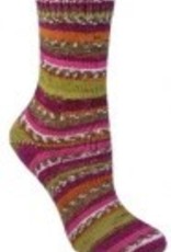 Berroco Berroco Comfort Sock 1816 COSMOPOLITAN discontinued