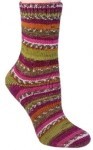 Berroco Berroco Comfort Sock 1816 COSMOPOLITAN discontinued