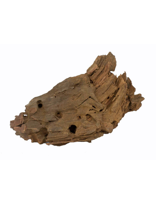Aquaglobe-Petglobe USA Malaysian Driftwood 13"-16" (MD)