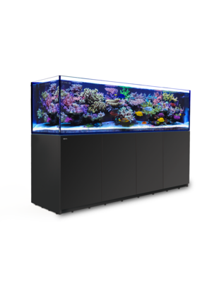 Red Sea Glass Aquatics